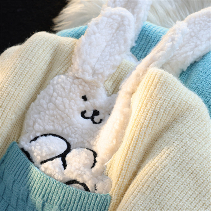 Cute Rabbit Kawaii Sweater - Pastel Kitten
